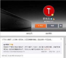 小锤子精彩爆料视频,精彩爆料视频背后的故事