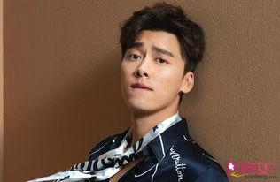 替身爆料李易峰视频,揭秘明星幕后辛酸与真实生活 第3张 替身爆料李易峰视频,揭秘明星幕后辛酸与真实生活 第3张