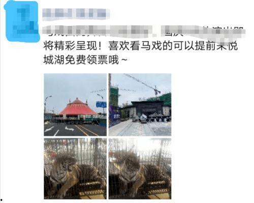 临泉最新爆料视频曝光,惊人真相曝光! 第3张 临泉最新爆料视频曝光,惊人真相曝光! 第3张