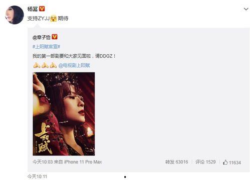 郑燕姿最新爆料视频,音乐人生新篇章