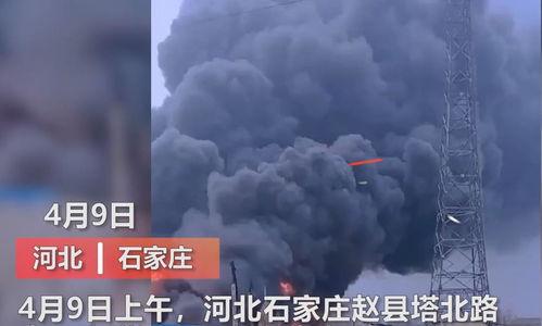 求子之路爆料视频完整版,完整版爆料视频深度解析 第3张 求子之路爆料视频完整版,完整版爆料视频深度解析 第3张