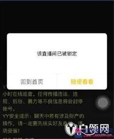爆料哥最新招聘视频播放,揭秘团队壮大背后的故事