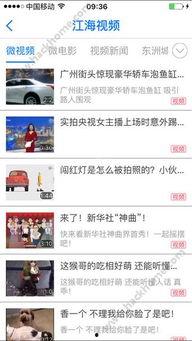 海门网红爆料新闻视频播放,网友热议不断