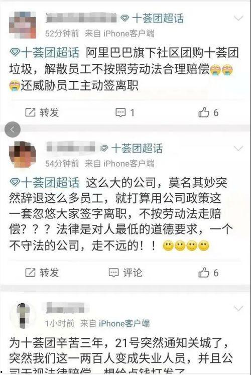 十团最新爆料,最新爆料背后的惊人真相 第3张 十团最新爆料,最新爆料背后的惊人真相 第3张