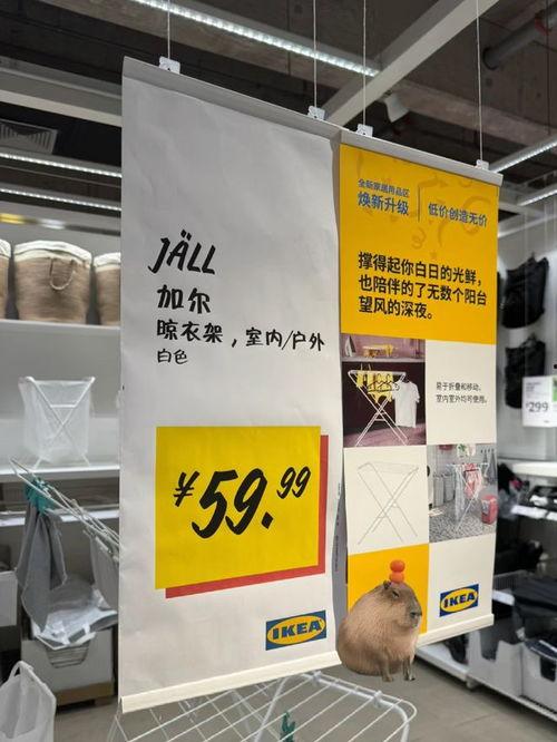 最新家具爆料文案,揭秘最新家具爆料,引领家居新风尚 第3张 最新家具爆料文案,揭秘最新家具爆料,引领家居新风尚 第3张