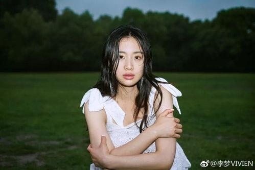 李梦爆料视频大全最新一期,娱乐圈背后惊人真相 第3张 李梦爆料视频大全最新一期,娱乐圈背后惊人真相 第3张