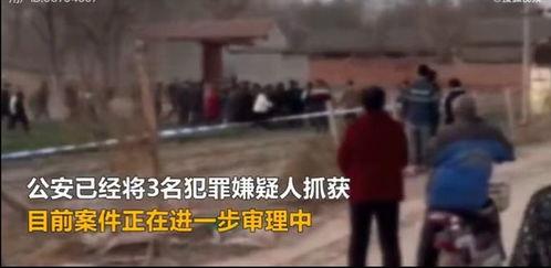 邯郸父亲最新爆料视频,孩子遭遇校园霸凌,正义何时到来? 第3张 邯郸父亲最新爆料视频,孩子遭遇校园霸凌,正义何时到来? 第3张