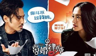 离婚律师在线观看免费,揭秘婚姻破裂背后的法律智慧