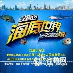 世界爆料大王青岛人视频,世界爆料大王带你领略青岛风华