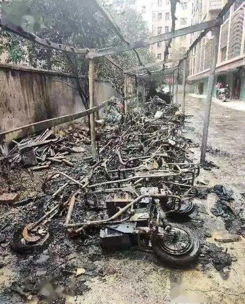 安远县事件爆料最新,真相与反思
