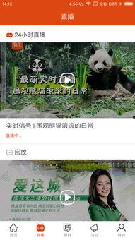 新闻爆料视频,事件真相与背后故事 第3张 新闻爆料视频,事件真相与背后故事 第3张