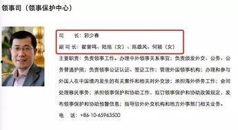 外交新闻爆料平台有哪些,揭秘全球情报搜集新渠道 第3张 外交新闻爆料平台有哪些,揭秘全球情报搜集新渠道 第3张