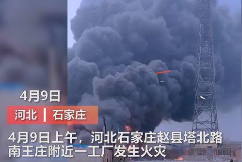虎狼之路爆料视频大全,揭秘爆料视频背后的精彩瞬间 第3张 虎狼之路爆料视频大全,揭秘爆料视频背后的精彩瞬间 第3张