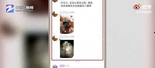 浙江最新爆料视频,一窥当地风土人情与民生百态 第2张 浙江最新爆料视频,一窥当地风土人情与民生百态 第2张