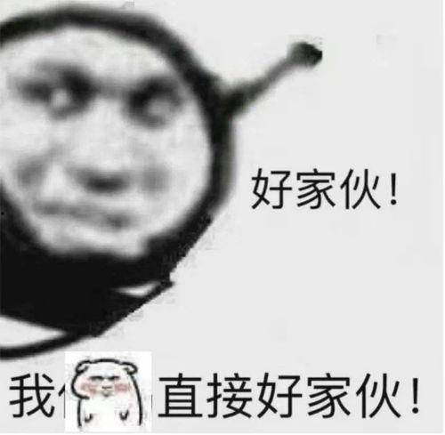 穿越吃瓜沙雕文免费阅读,沙雕文中的奇幻美食之旅  第3张