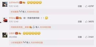 娱乐网爆料,明星幕后故事大揭秘  第3张