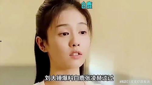刘大锤爆料白鹿视频,揭秘娱乐圈幕后真相