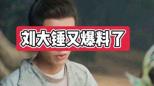 刘大锤爆料白鹿视频,揭秘娱乐圈幕后真相  第3张