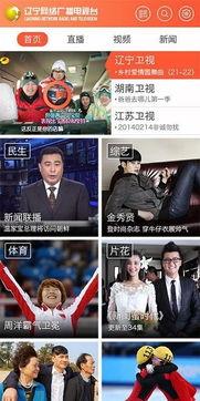 辽宁卫视在线直播观看,精彩节目一网打尽  第2张
