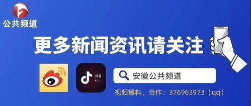 影院爆料不打码视频,不打码视频揭露幕后真相  第3张