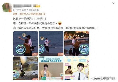 圈内人爆料林一,揭秘娱乐圈的传奇人生  第3张