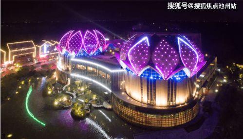 24款unit最新爆料,前瞻性功能与设计革新揭秘