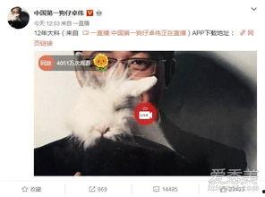 直播间爆料出轨视频大全,出轨视频大全，真相大白！