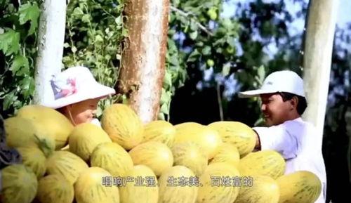 韩城网红新瓜最新爆料,揭秘背后惊人真相！  第2张