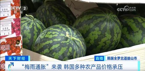 韩城网红新瓜最新爆料,揭秘背后惊人真相！  第3张