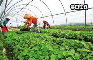 湖北爆料台最新,聚焦民生热点,揭示社会真相 第3张 湖北爆料台最新,聚焦民生热点,揭示社会真相 第3张