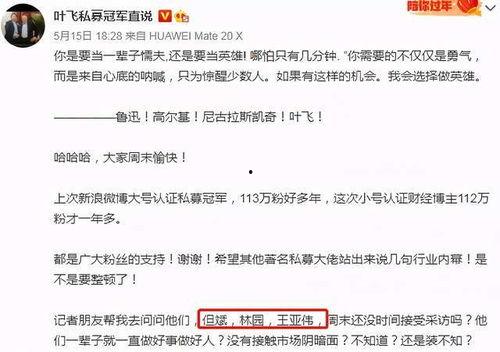 叶飞爆料更新视频,揭秘行业黑幕与内幕交易