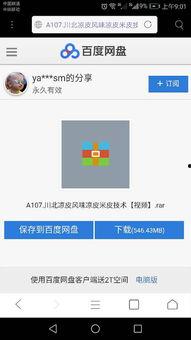 爆料小吃教程视频播放,视频教程带你轻松学会经典小吃制作