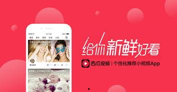 娱乐吃瓜的视频封面怎么制作的,吸睛秘籍大公开  第3张