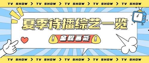 吃瓜营销号娱乐号怎么做,如何玩转娱乐号吸粉攻略  第2张