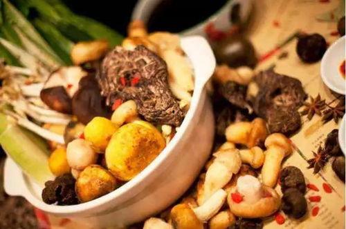 娱乐吃瓜菌作品,揭秘娱乐圈那些不为人知的幕后故事  第3张