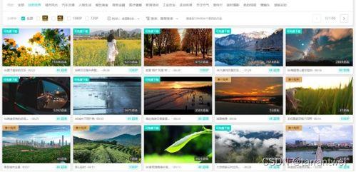 爆料素材视频 第2张 爆料素材视频 第2张