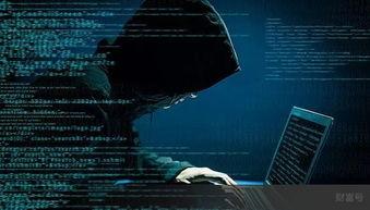 顶级黑客爆料视频下载,揭秘视频下载背后的惊人真相  第3张