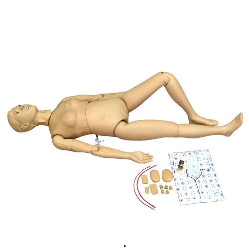 人体模型最新爆料图解,图解人体结构与功能全解析 第3张 人体模型最新爆料图解,图解人体结构与功能全解析 第3张
