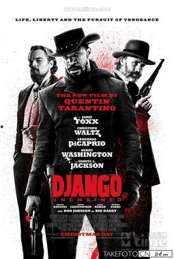 被解放的姜戈在线观看,一场跨越种族与自由的史诗之旅  第2张