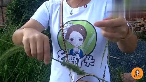 秋子老公爆料视频播放,揭秘夫妻生活幕后真相