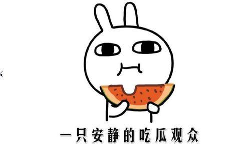 抖音网红吃瓜有哪些,揭秘热门事件背后的真相  第3张