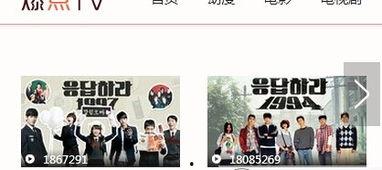 在线88在线观看