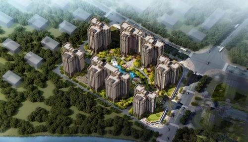 万辉国际城爆料视频大全,揭秘项目真相与争议 第3张 万辉国际城爆料视频大全,揭秘项目真相与争议 第3张