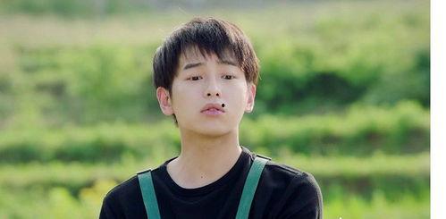 爱豆吃瓜娱乐酱成毅,从爱豆到瓜界新宠，揭秘成毅的吃瓜娱乐之路  第3张