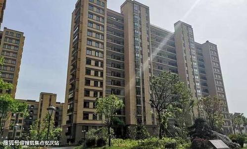 海哥热线爆料视频大全最新,揭秘热点事件背后的真相