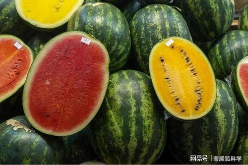 静安网红吃瓜事件真相,真相背后的惊人内幕  第2张