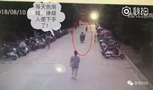 大盗爆料视频大全集,揭秘犯罪内幕，追踪盗贼踪迹