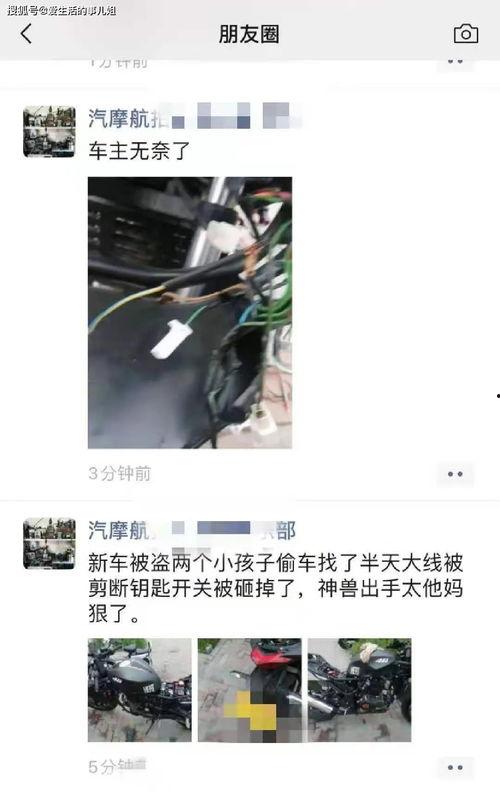 大盗爆料视频大全集,揭秘犯罪内幕，追踪盗贼踪迹  第3张