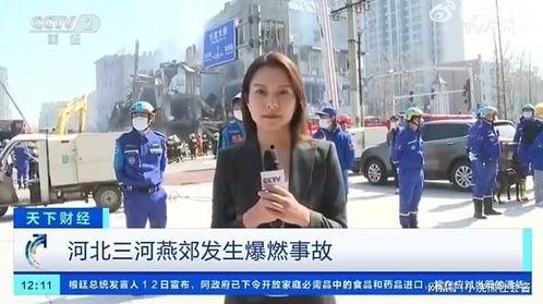 加拿大记者爆料视频大全,震撼视频大全背后的真相 第3张 加拿大记者爆料视频大全,震撼视频大全背后的真相 第3张