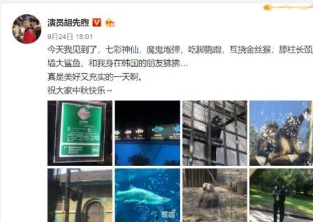 海杨村里人爆料视频最新,揭秘村庄背后惊人真相  第2张